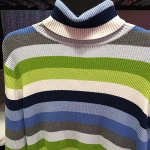 striped turtle neck sweater